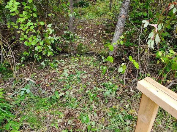 Stemple Pass Rd, Lincoln, MT 59639