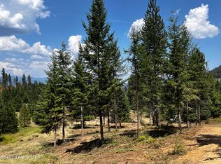 Nna Schneiders Rd LOT 1, Sagle, ID 83860