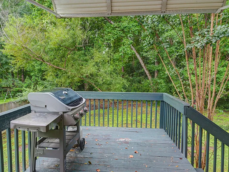 109 Gibson Forest Dr — Photo 3