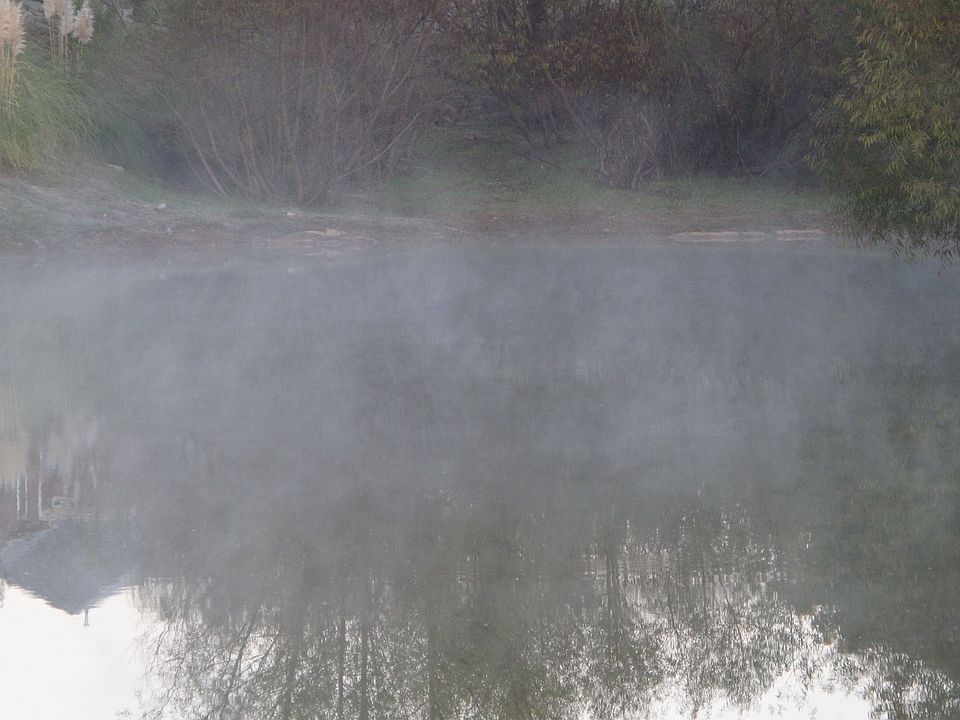 Our pond