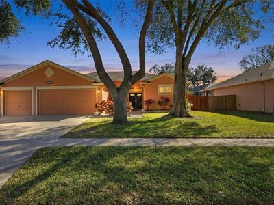 10455 Ashley Oaks Dr, Riverview, FL, 33578