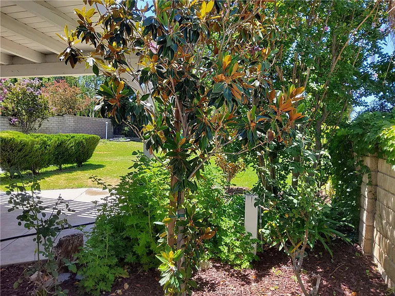 25540 Pembrook Pl — Photo 29