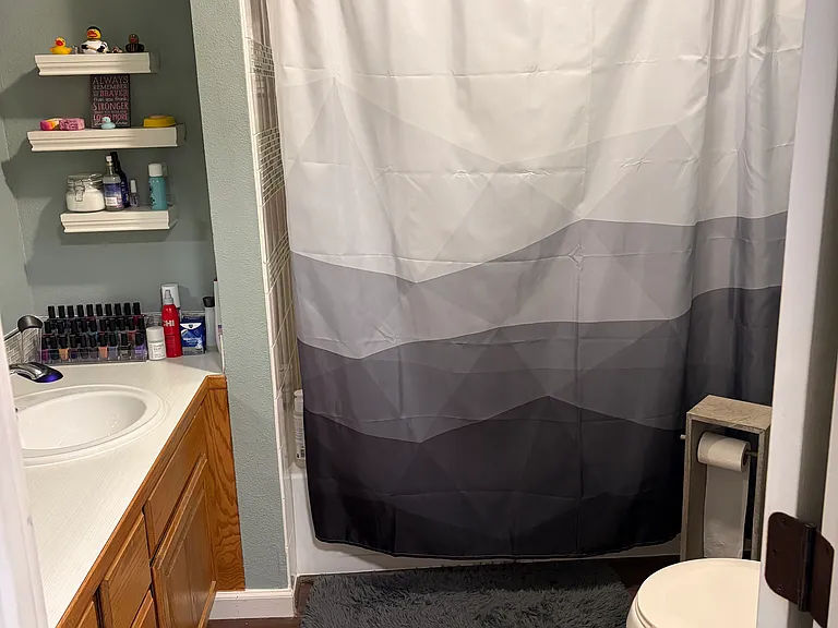 12732 Spring Brook Dr — Photo 11