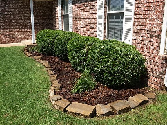 Pretty border garden.