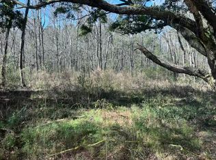 5753 Parkers Ferry Rd, Adams Run, SC 29426