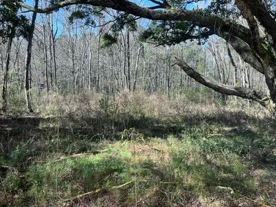 5753 Parkers Ferry Rd, Adams Run, SC, 29426