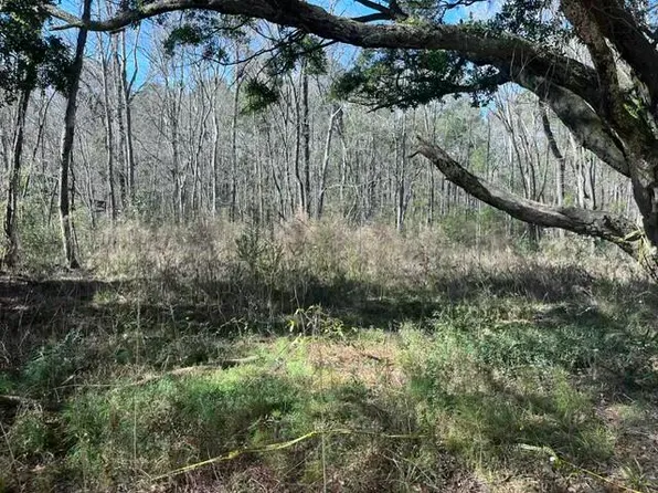 5753 Parkers Ferry Rd, Adams Run, SC 29426
