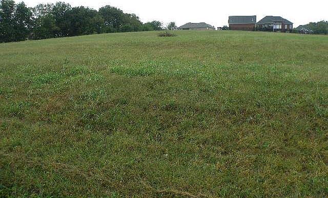 2nd image of 37 Peach Orchard Cir