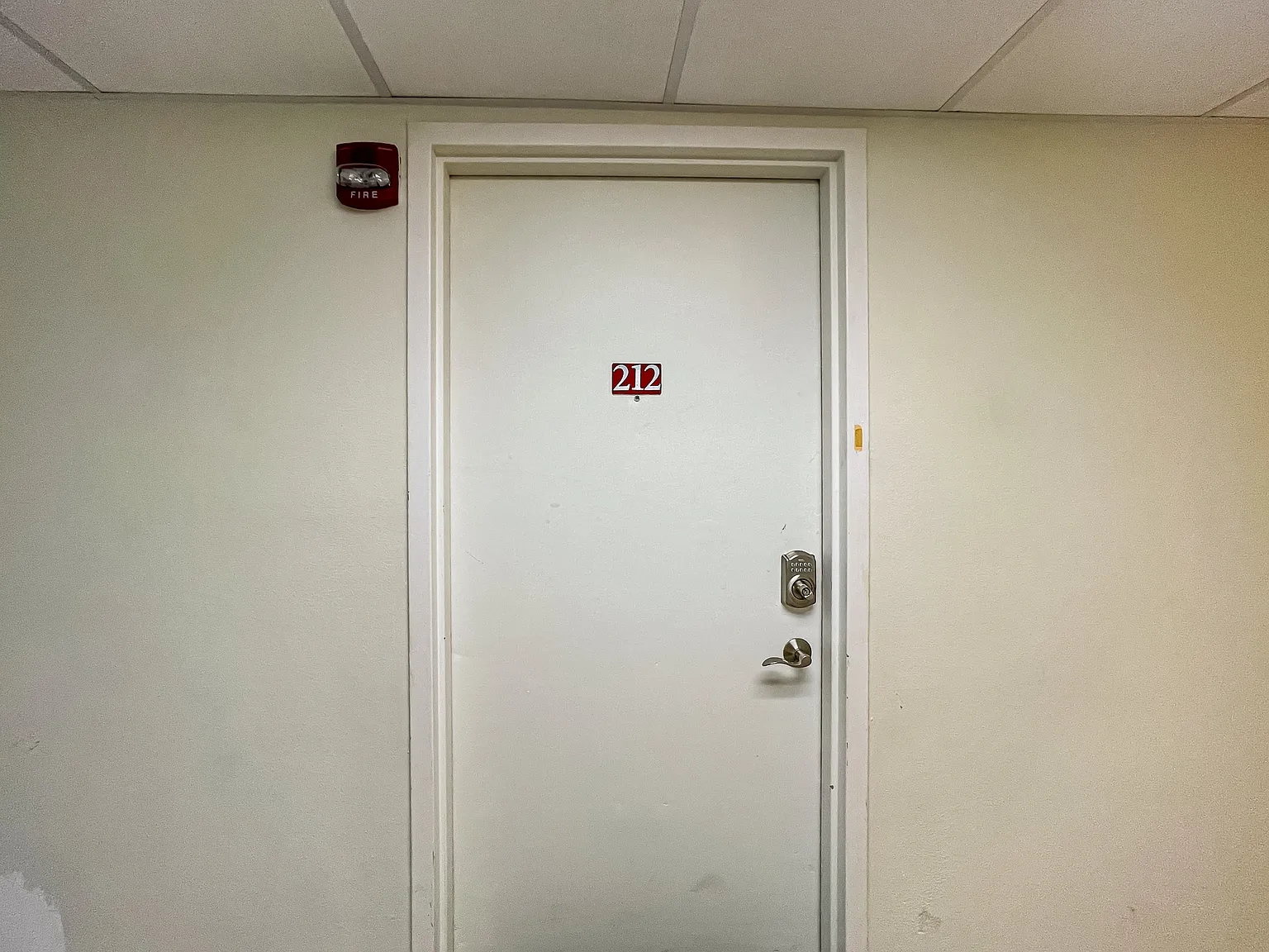 1 bed, 608 sqft, $1,300 — Photo 3