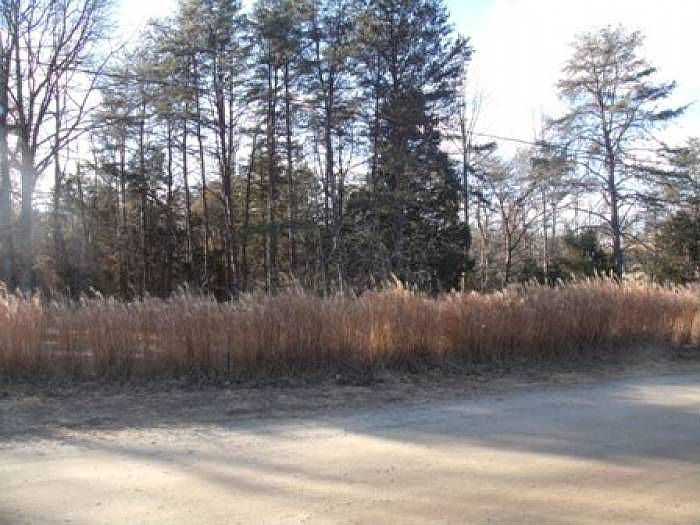 2nd image of 816 Chapman Mountain Cir