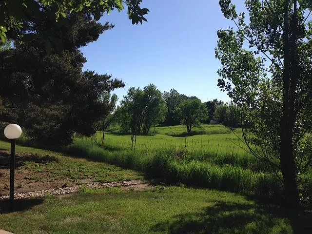 Niwot Rd — Photo 3