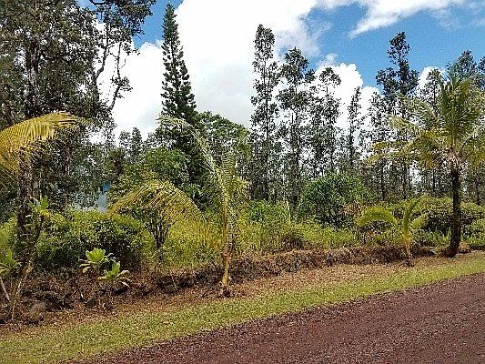 4th image of 16-2086 Plumeria Dr Lot 36