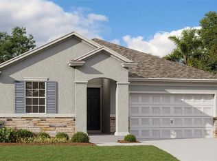 4538 Lions Gate Ave, Clermont, FL 34711