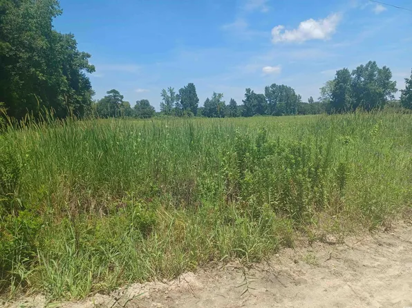 0 Davis Lane #3.41 Acre Davis Lane, Mullins, SC 29574