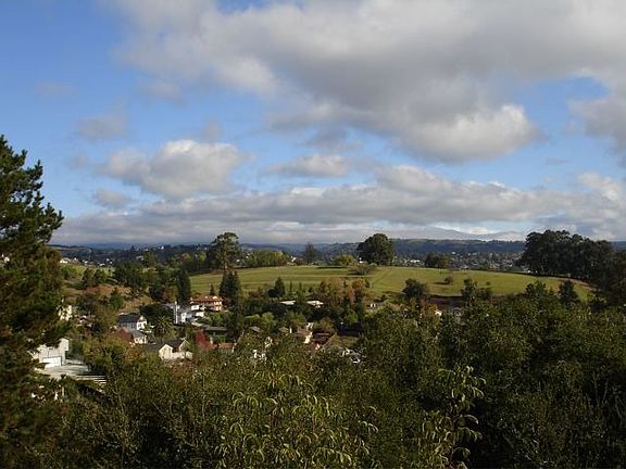view from deck