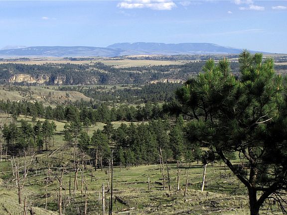 4th image of Nhn Wild Turkey Ridge Rd