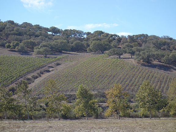 4th image of 6635 E Highway 246