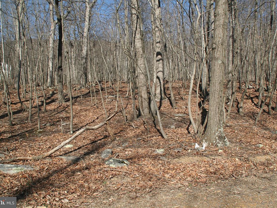 1st image of 403 Panther Dr