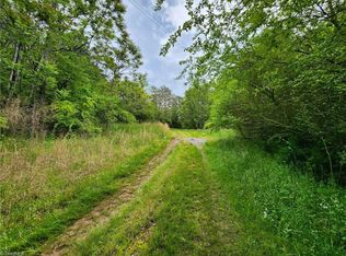 0 Sulphur Springs Rd, Hiddenite, NC 28636