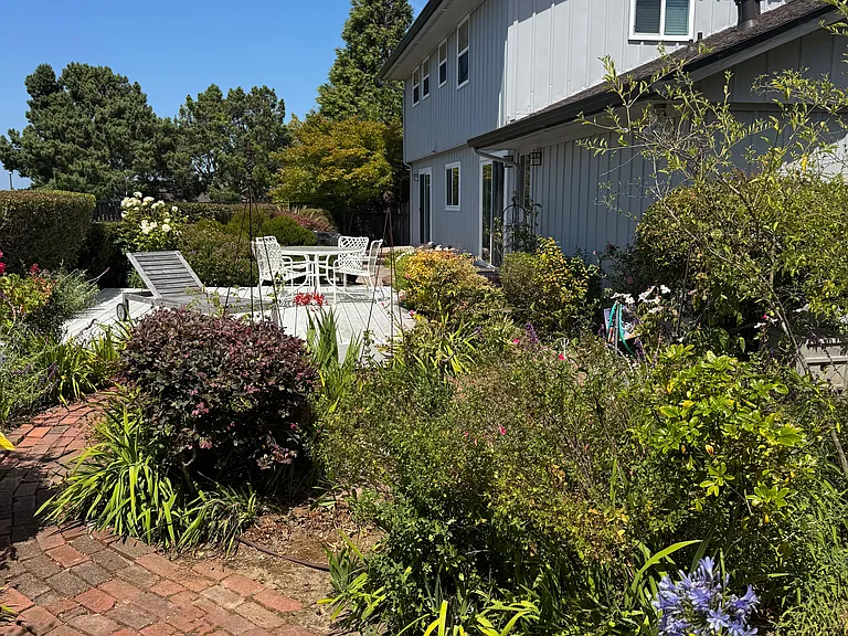 Backyard facing East