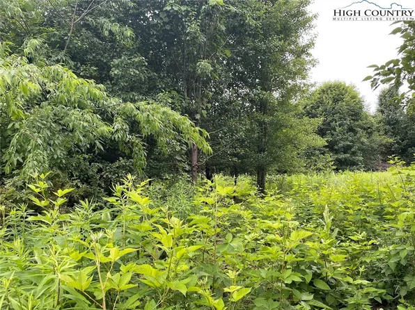 TBD Graybeal Calloway Drive, Jefferson, NC 28694