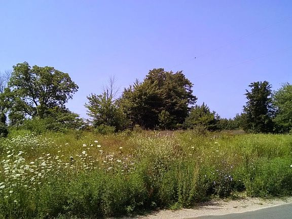 4th image of 1234 68th St