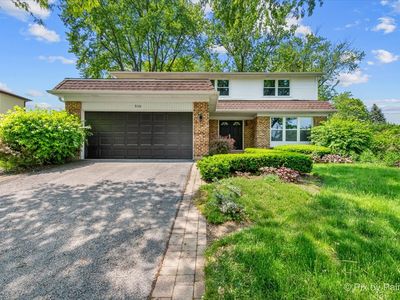 506 S Brighton Ln, Palatine, IL, 60067