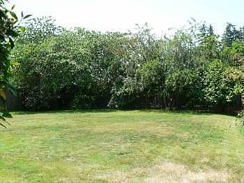 5th image of 4922 Forest Dr