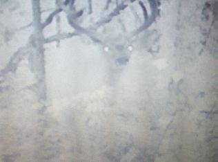 2399 River Rd, Hastings, MI 49058