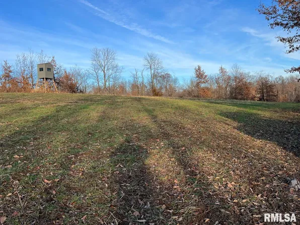 607 N 2200th Rd, La Harpe, IL 61450