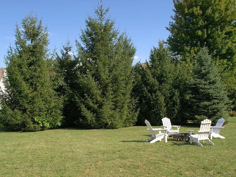 12223 Split Granite Dr — Photo 17