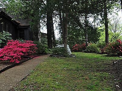 Front yard