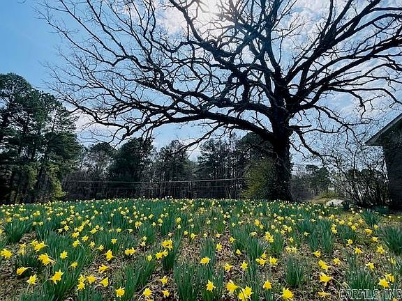 2nd image of 4708 Honeysuckle Rd