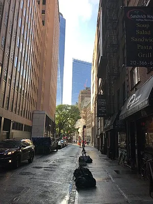 Rented by NY Living Solutions | media 5