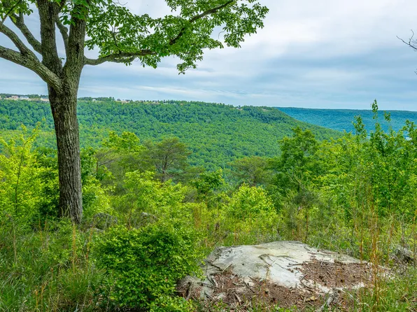 0 Crockett Loop #Jf160, Jasper, TN 37347
