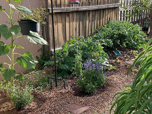 magical side-yard for morning tea/coffee or evening sunset