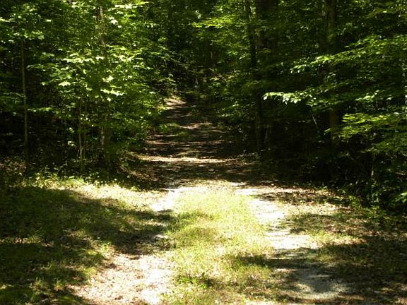 4th image of Black Fox Harbor #Lot 26