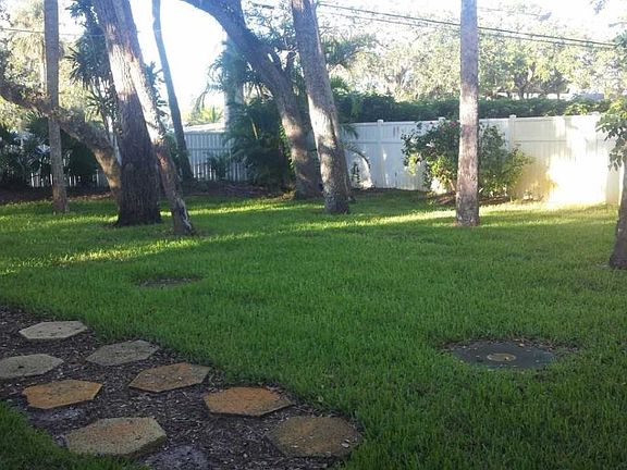 Rear yard
