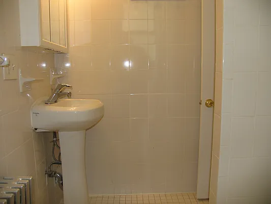 Rented by Rapid Realty Cobble Hill | media 18