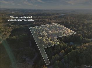 0 Pleasantway Dr, Jasper, AL 35501