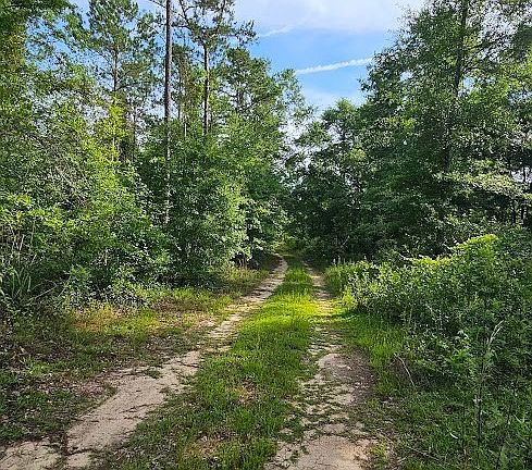 5th image of 931 County Road 216
