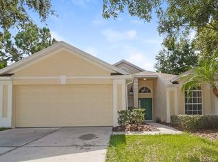 28246 Tall Grass Dr, Wesley Chapel, FL 33543