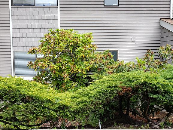 2nd image of 9922 NE 144th Ln APT 503