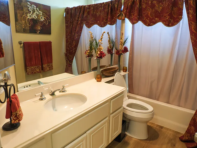 Full downstairs shower and tub