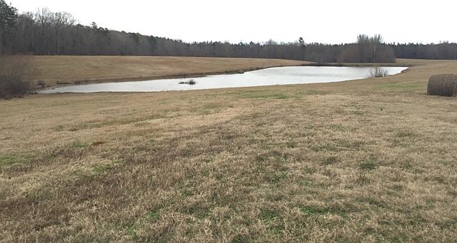 1st image of 15 County Road 320