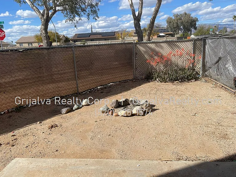 3801 Queen Palm Maintenance — Photo 10
