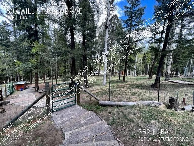 507 Will Stutley Dr — Photo 20