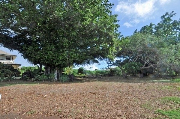 1st image of 3010 Pua Akala Pl Lot 14
