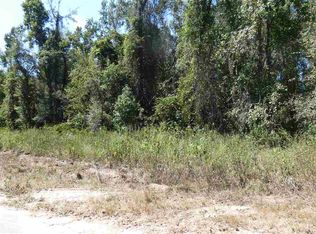 Bassett Dairy Rd, Monticello, FL 32344