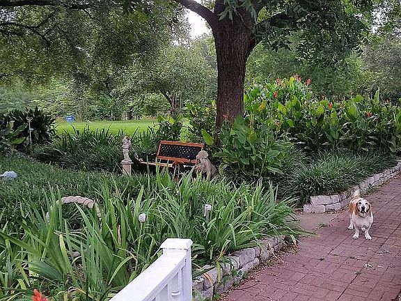 Front walkway and garden